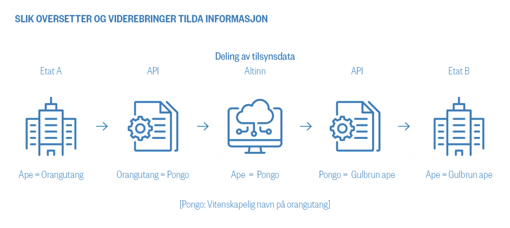 Skisse av hvordan Tilda oversetter og viderebringer informasjon