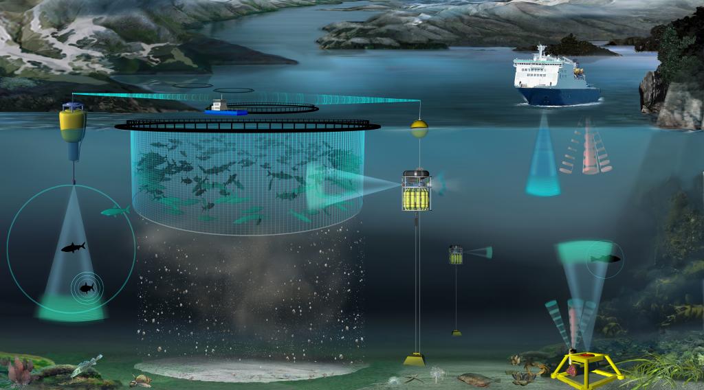 Bildet viser ulike automatiske overvåknings- og datakilder/nyere teknologier fra kyst og hav. Vi ser to mærer med fiks som overvåkes med bøyer som overvåker mæren, havbunn og fisken rundt. Vi ser et forskningsfortaøy med ekkoloddd og fastmontert ekkolodd på bunn.,