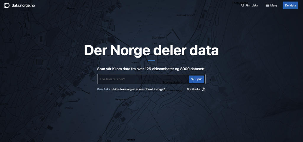 Bildet viser søkefelt på datanorge.no